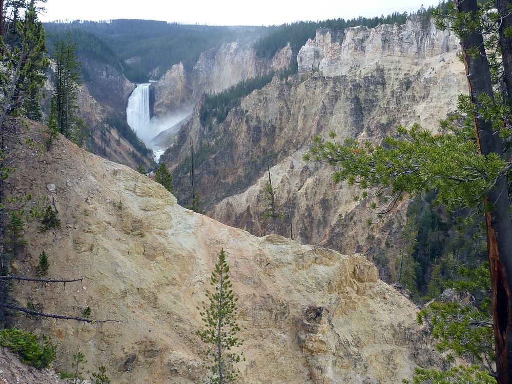 Canyon village Upper fall (11).JPG